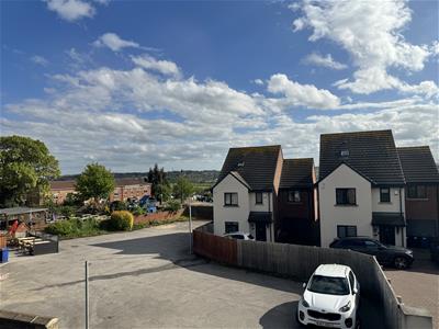 Picture 23